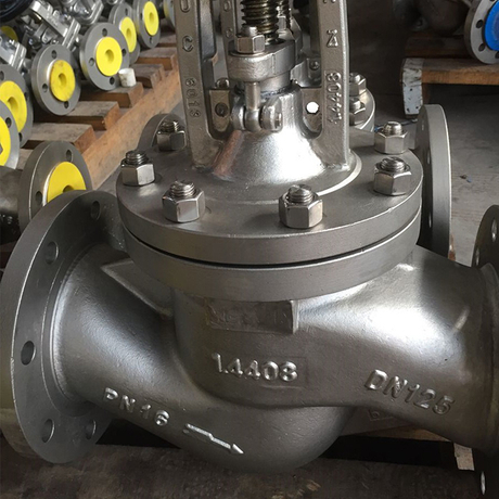Stainless Steel Globe Valve Specification SS Globe