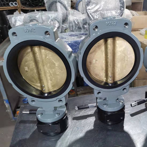 Semi Lug Concentric Butterfly Valves
