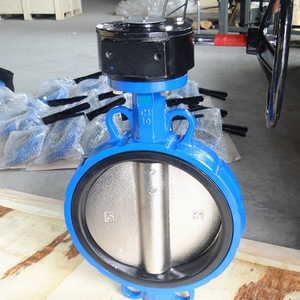 China Manufacturing Vendor Wafer Butterfly Valve PN10 16 ANSI150 