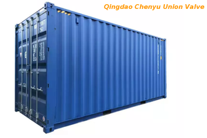 Brand New 20ft Dry Cargo Shipping Container