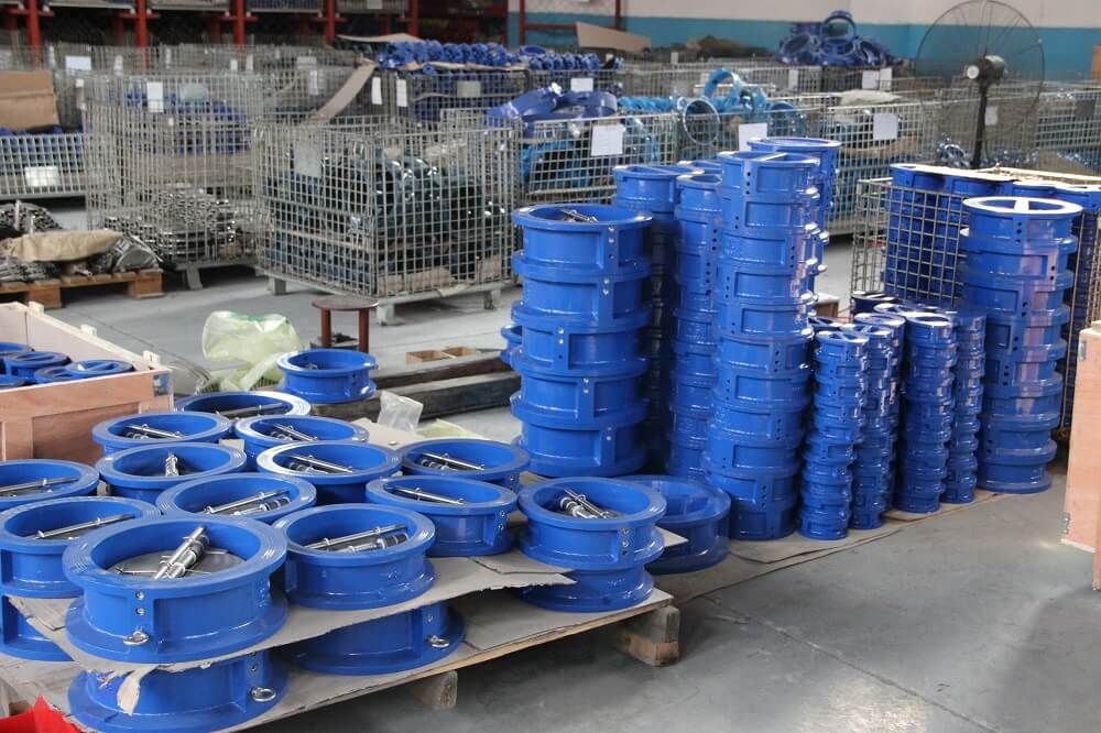 duo plate check valve (1)