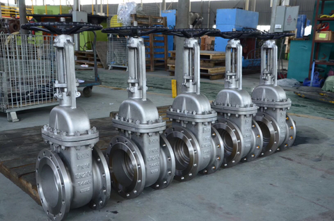 DIN Rising Stem Gate Valve Stainless Steel CF8M